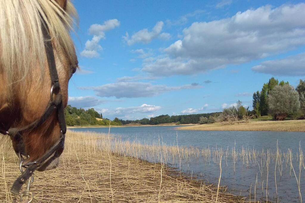 Gite En Pleine Nature Proche Du Lac De La Gimone Saint-Blancard 외부 사진