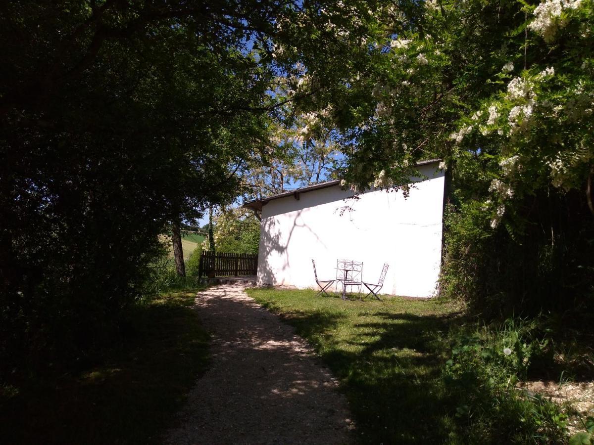 Gite En Pleine Nature Proche Du Lac De La Gimone Saint-Blancard 외부 사진